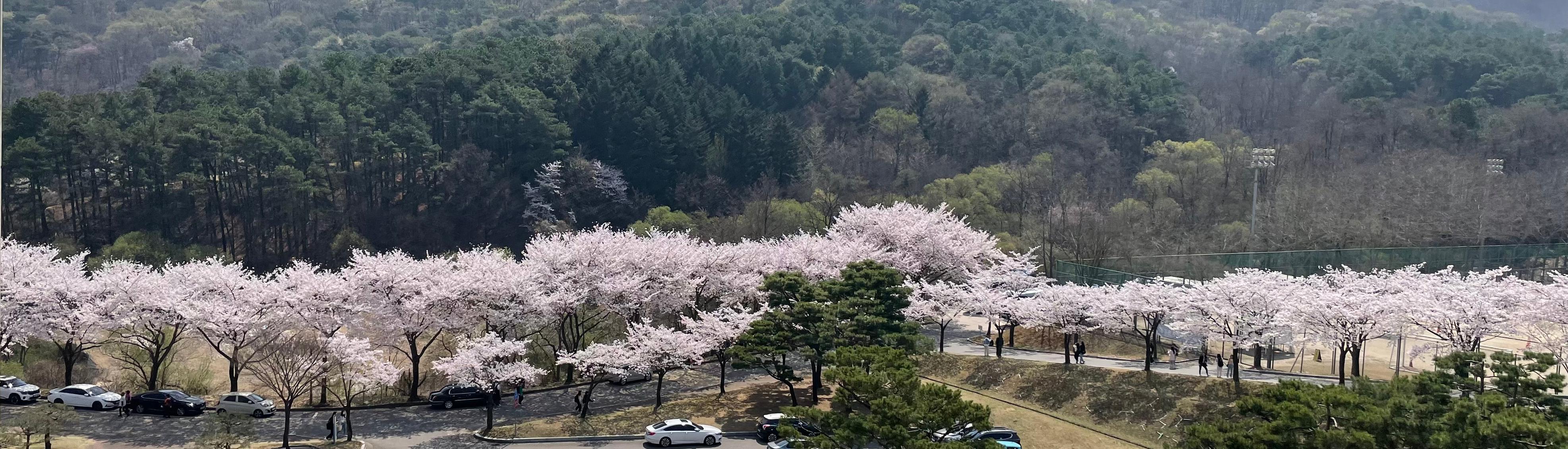 <p>MYONGJI UNIVERSITY</p>             <strong>명지대학교 <p><i>정보통신공학과</i></p></strong>